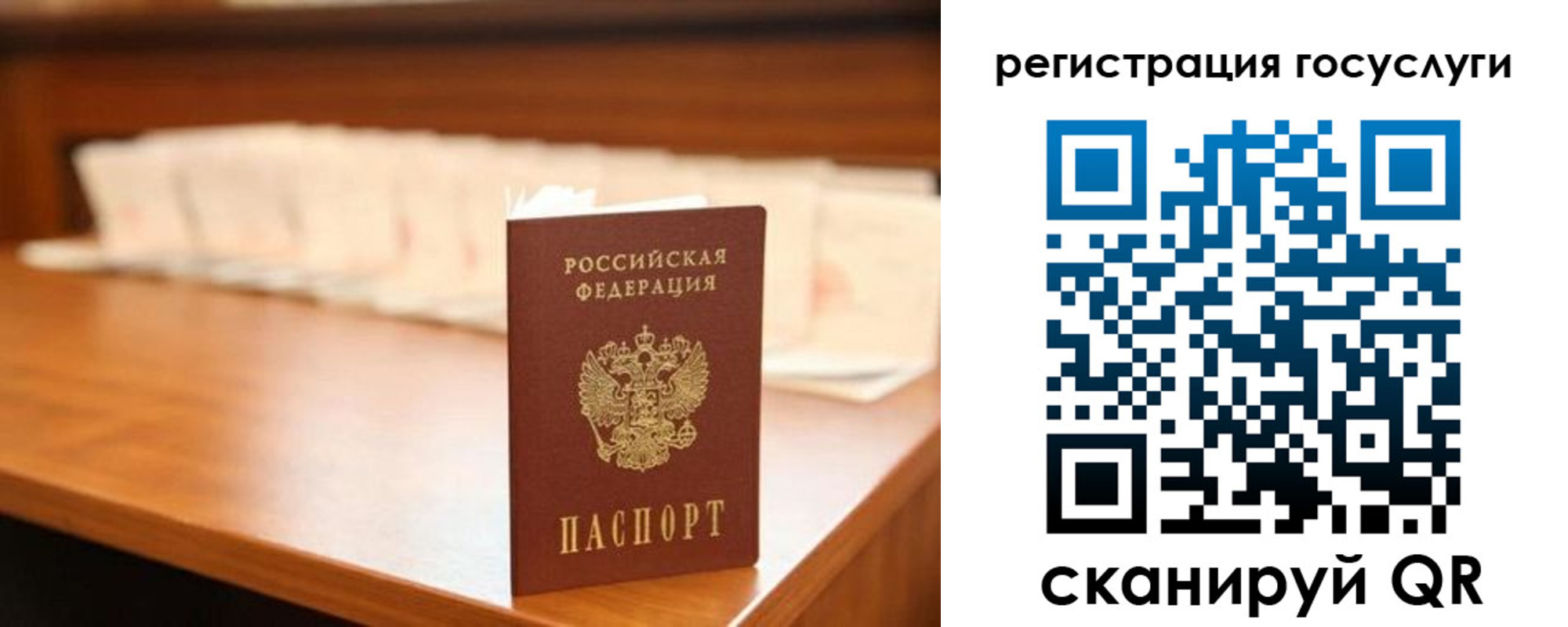 прописка в квартире в Белореченске