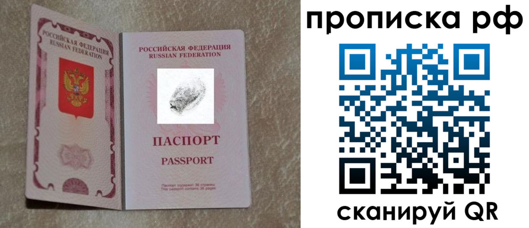 прописка поиск в Белореченске